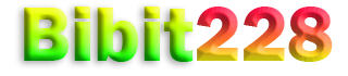 BIBIT228